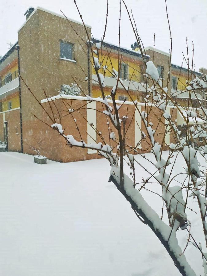Appartamenti Alle 5 Torri Mezzolombardo Exteriér fotografie